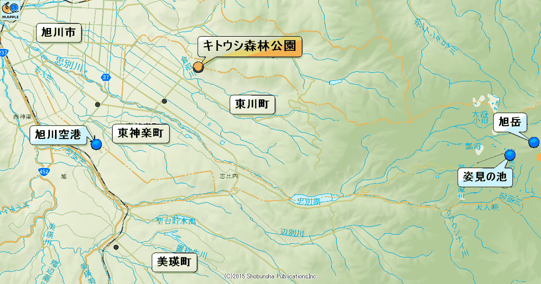 キトウシ森林公園の花たち その１