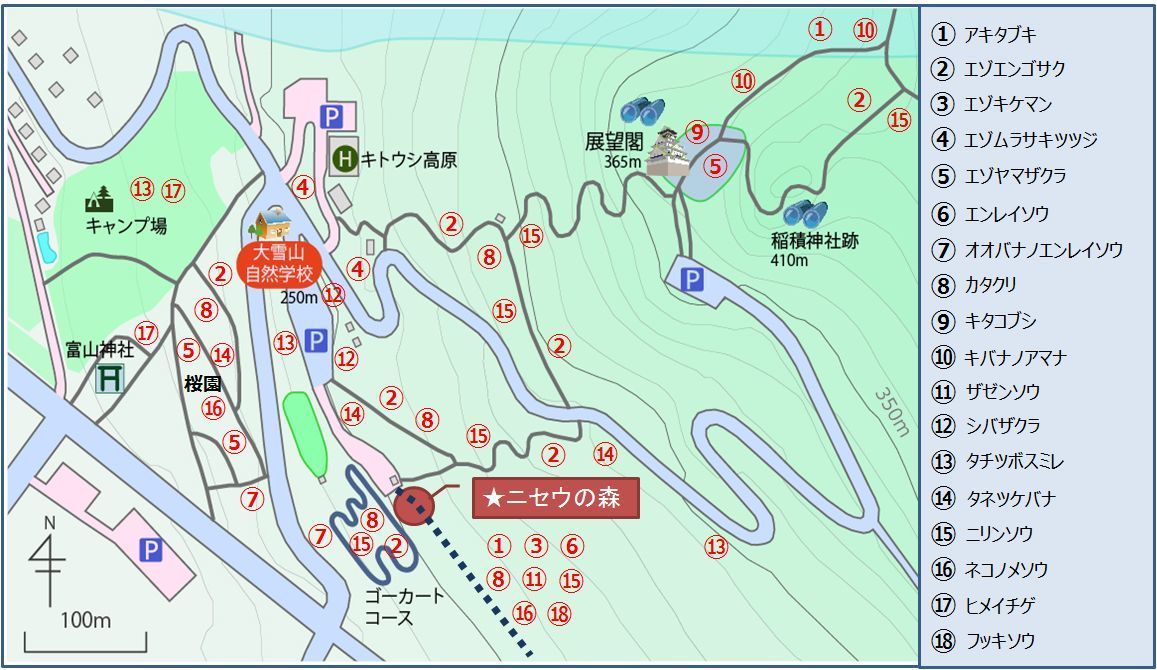 キトウシ森林公園の花たち その１